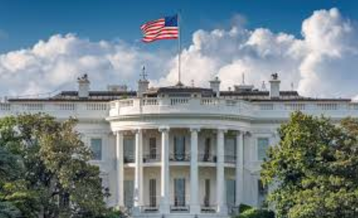 Nintendo's global and US presidents discuss Animal Crossing: New Horizons, Switch, and the company's forays into theme parks, movies, and more(Harry McCracken/Fast Company)