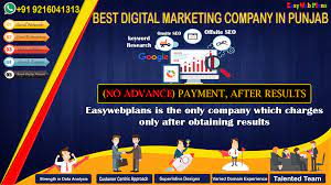 best digital marketing agency in punjab