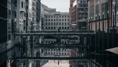 build a thriving photography business