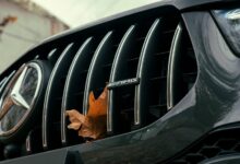 check nhentai website status