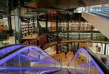 infoohub organization functionality explained