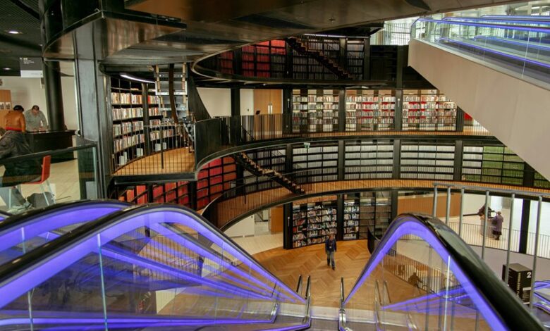 infoohub organization functionality explained