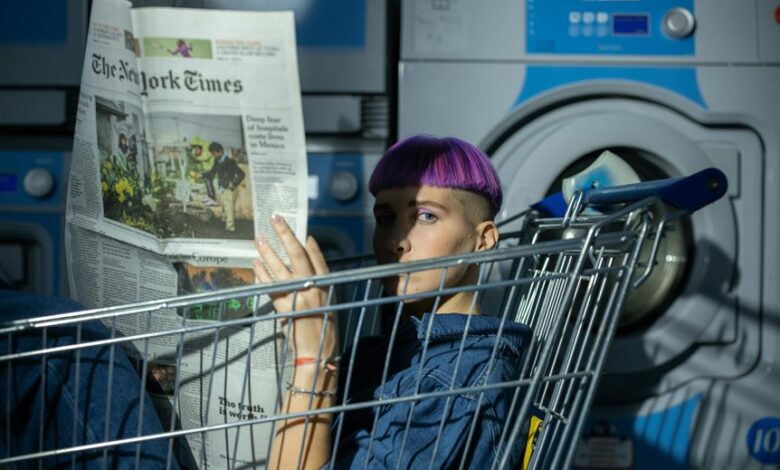 kurir novine service overview