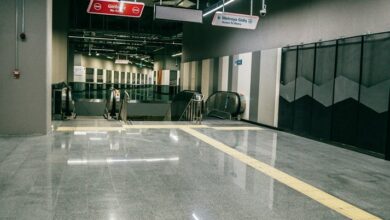 literottica platform informational guide