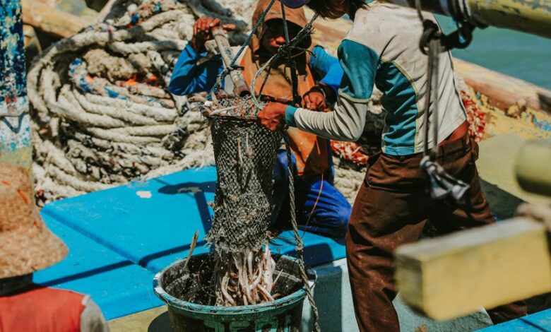 understanding lacib net operation