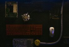 apex momentum neural node