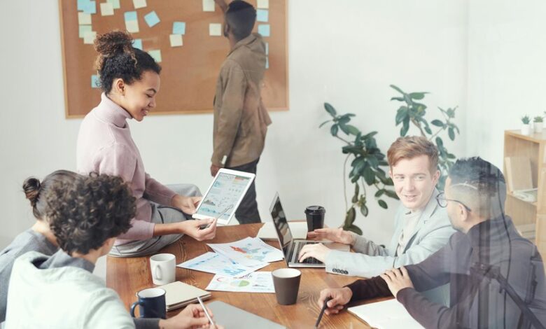 business expansion strategy analysis