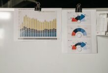 insights on phone number