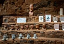 tactical scaling evolution guide