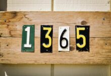 call records and ip details verified