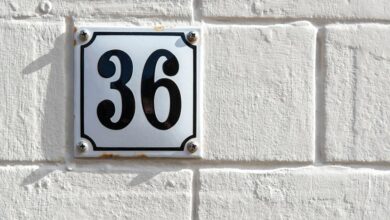 mixed data ips and phone numbers