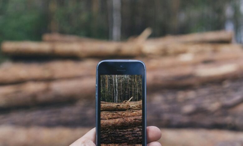 phone activity log identifiers and blogs