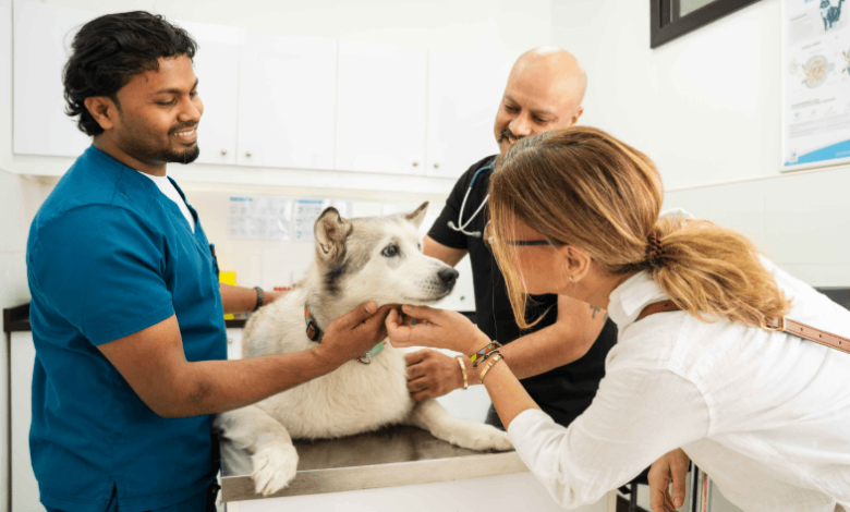 8 Reasons Petbook Veterinary Clinic Stands Out in Dubai
