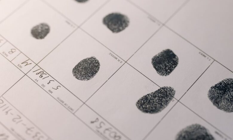 background check ids identified