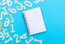 caller background records query list
