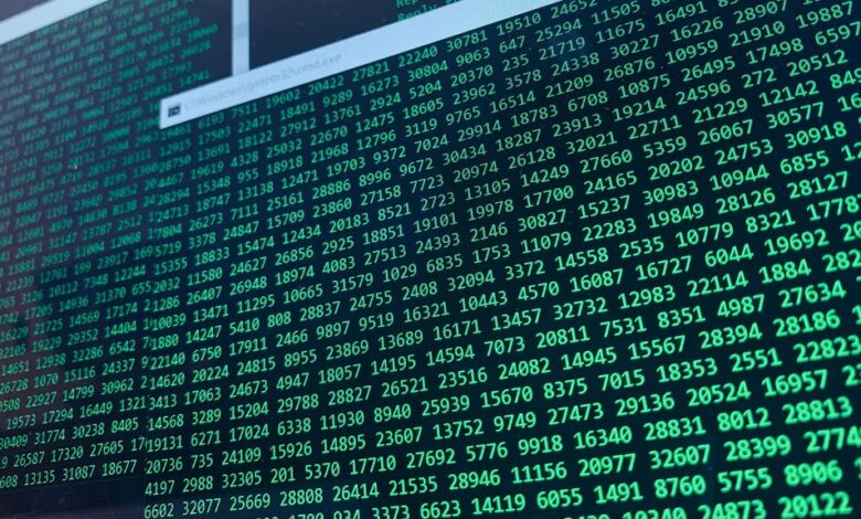 hidden numbers and verification details