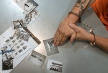 list of investigation numbers per activity