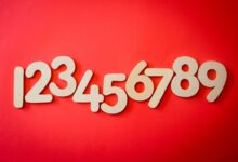 list of us phone numbers provided