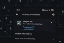 phone verification numbers list provided