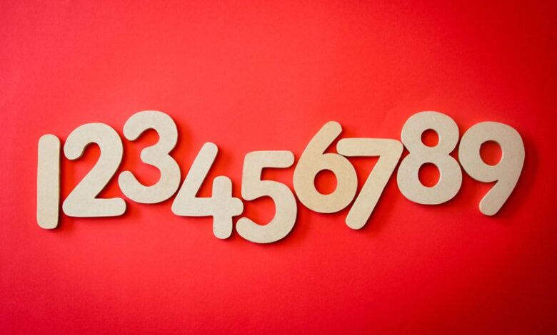 unknown phone numbers in florida area codes