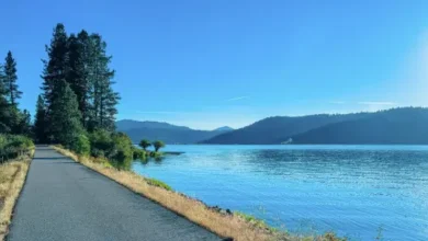 NAEGELI Deposition & Trial and the Bi-State Reality of Coeur d'Alene Litigation